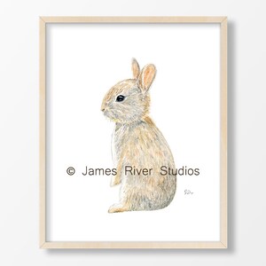 Animal Nursery Art Baby Animal Nursery Prints Animal Paintings | Etsy