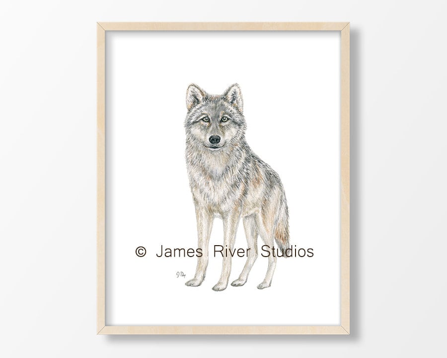 Arctic Nursery Art Arctic Animal Nursery Decor Polar Bear Etsy