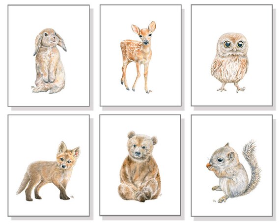 Woodland Animal Boy Nursery Wall Art Prints Set 6.