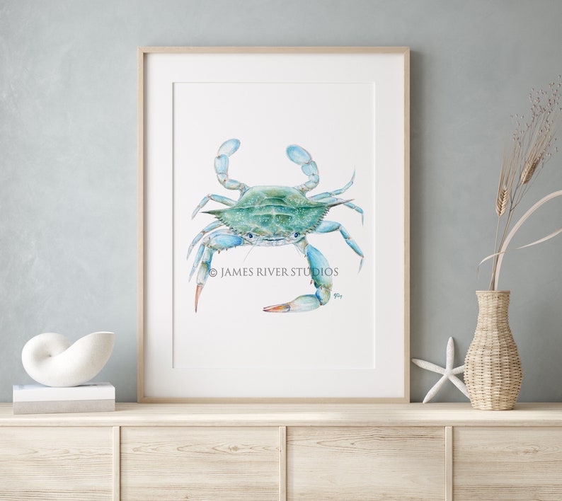 Op de afbeelding: Waterverf schilderij van een blauwe krab op een witte achtergrond. De krab kijkt naar de kijker met zijn klauwen omhoog. Het schilderij is ingelijst in een licht houten lijst.