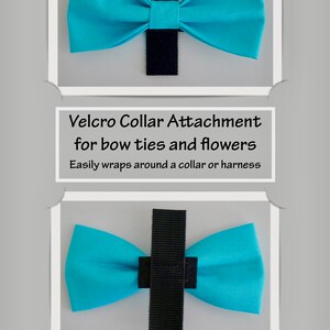 POLKA DOTS / Bow Tie, Flower, or Bandana Collar Attachment & Accessory for Dogs and Cats image 7