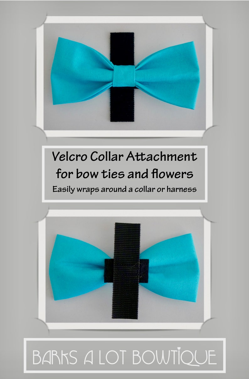 POLKA DOTS / Bow Tie, Flower, or Bandana Collar Attachment & Accessory for Dogs and Cats image 7