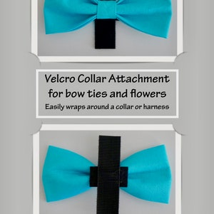 RED FLOWERS / Bow Tie, Flower, or Bandana Collar Attachment & Accessory for Dogs and Cats image 4