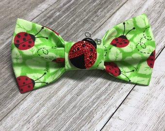 LADY BUGS / Collar Attachment & Accessory for Dogs and Cats