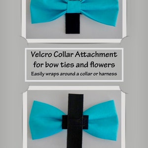 PATRIOTIC AMERICANA / Bow Tie, Flower, or Bandana Collar Attachment & Accessory for Dogs and Cats image 5