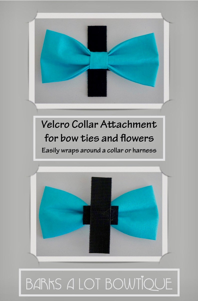 PATRIOTIC AMERICANA / Bow Tie, Flower, or Bandana Collar Attachment & Accessory for Dogs and Cats image 5
