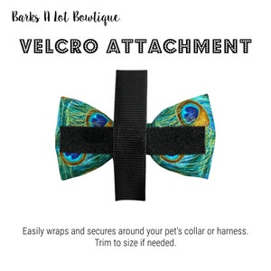 May include: A peacock feather patterned bow tie with a black velcro strap for attaching to a pet's collar or harness.  The text "VELCRO ATTACHMENT" is printed above the bow tie.