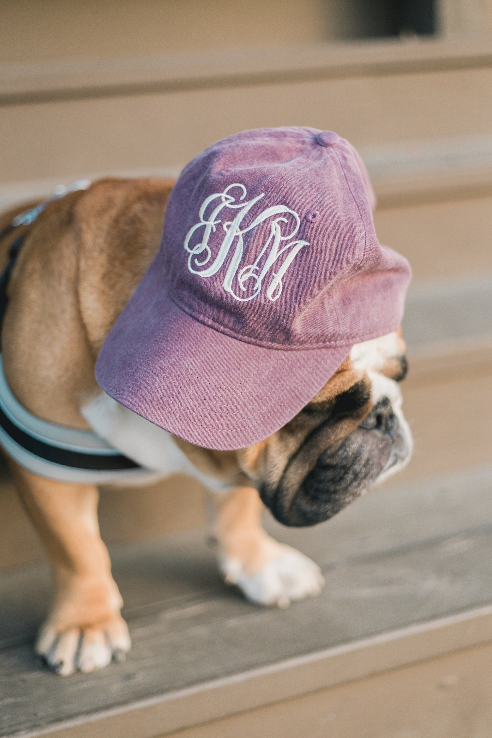 LFYT EL store REIGN MONOGRAM LF LOGO