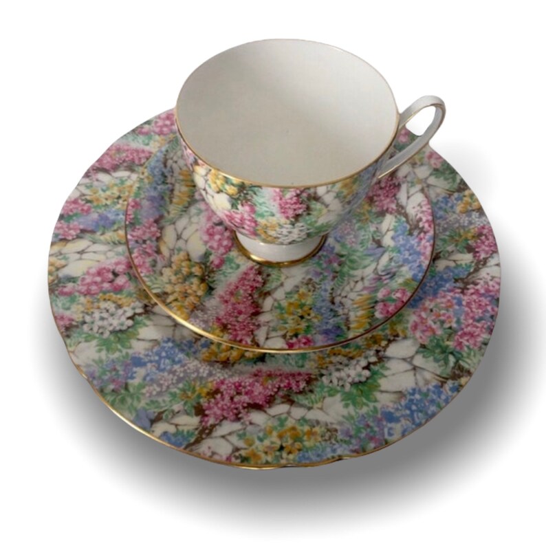 Vintage Shelley Chintz Tea Cup & Saucer Rock Garden Pattern Etsy
