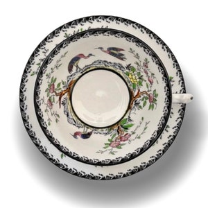 Vintage Melba China Tea Cup & Saucer ~ Hand Painted