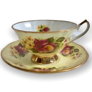 Lovely Vintage Queen&#39;s Rosina Tea cup and Saucer Rosina