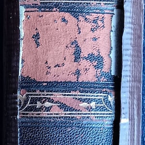 Godey&#39;s Lady&#39;s Book and Magazine (1868) Vol. LXXVI, Louis Godey, publisher. Philadelphia. 556 pp. Good inside. Binding needs work. Rare. FS.