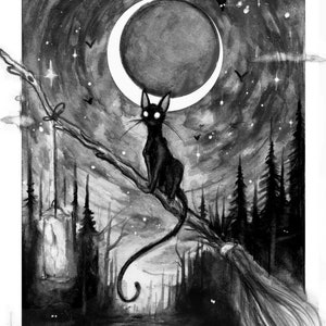 Spellbound Shade, print