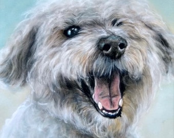 POODLE PUP PORTRAIT -  8 x 10 Original Pastel Drawing - Matted