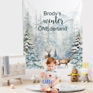 May include: A winter-themed backdrop with the text "Brody's winter ONEderland". A baby sits in front of the backdrop, holding a "one" cake topper. The backdrop features a snowy forest scene with deer and fir trees.