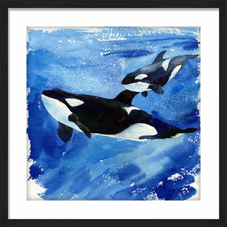 Katina and Unna / Orca Killer Whale Mother & Baby / Ocean Whales Art print, Coastal Watercolor Painting, Home Wall decor, Gift for her 8x8 image 2
