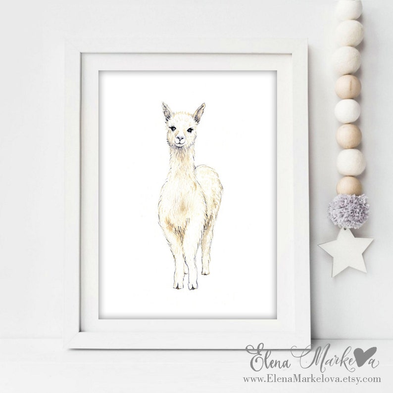 Nursery Animals South America nursery Art print watercolor Llama cria cute baby animals baby lama 8x10 Baby Llama cute Llama print