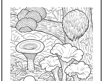Fungi of Appalachia