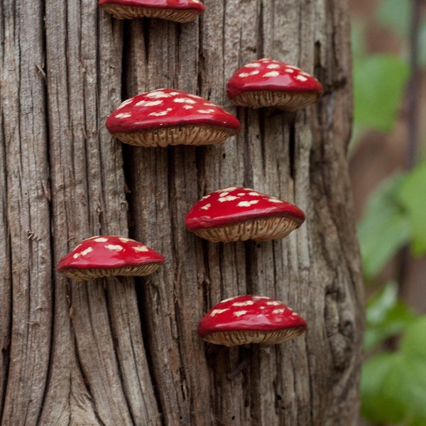 Funghi amanita SIX Pin set Cottagecore Nature spilla velenostra Fantasy foresta fiabesca disegno pin regalo pinback fungo ornamento puntina