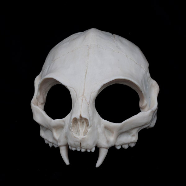 Cat skull mask - RAW CAST DIY -  unpainted resin feline mask for larp, cosplay...