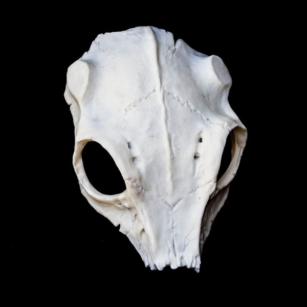 Skull resin headdress mask shoulder - RAW CAST DIY -  unpainted resin piece for larp, cosplay...