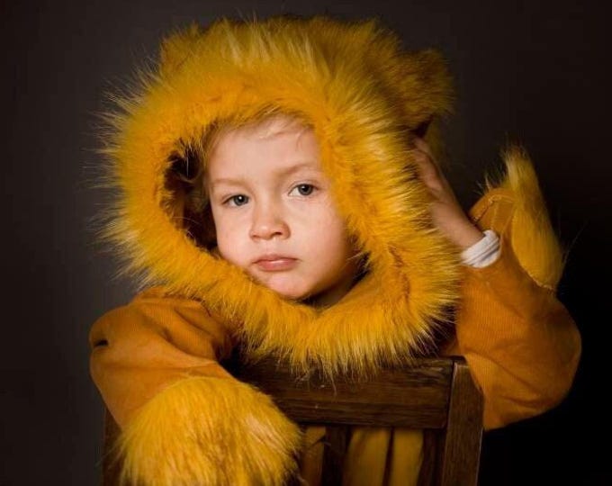 Lion, mane, Kids Costume Lion, Lion Costume, Kids Costume, Carnival Costume, Disguise, Lion Costume, Halloween, Halloween Costume, boys