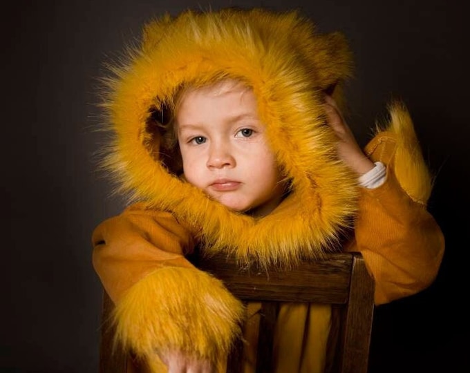 Lion, mane, Kids Costume Lion, Lion Costume, Kids Costume, Carnival Costume, Disguise, Lion Costume, Halloween, Halloween Costume, boys