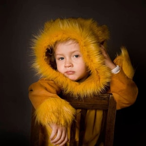 Lion, mane, Kids Costume Lion, Lion Costume, Kids Costume, Carnival Costume, Disguise, Lion Costume, Halloween, Halloween Costume, boys image 1