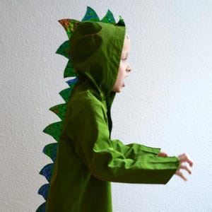 Dragons, dinosaurs, dino costume, crocodile, kids costume, halloween costume, halloween,