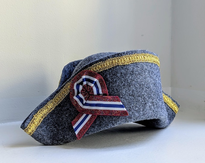 costume hat for the pirate costume, felt hat