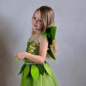 Fantasia da Sininho, peças individuais e conjunto completo, fada, fantasia de carnaval, Halloween, fantasia de Mardi Gras, Dia do Livro, Dia Mundial do Livro, princesa, balé