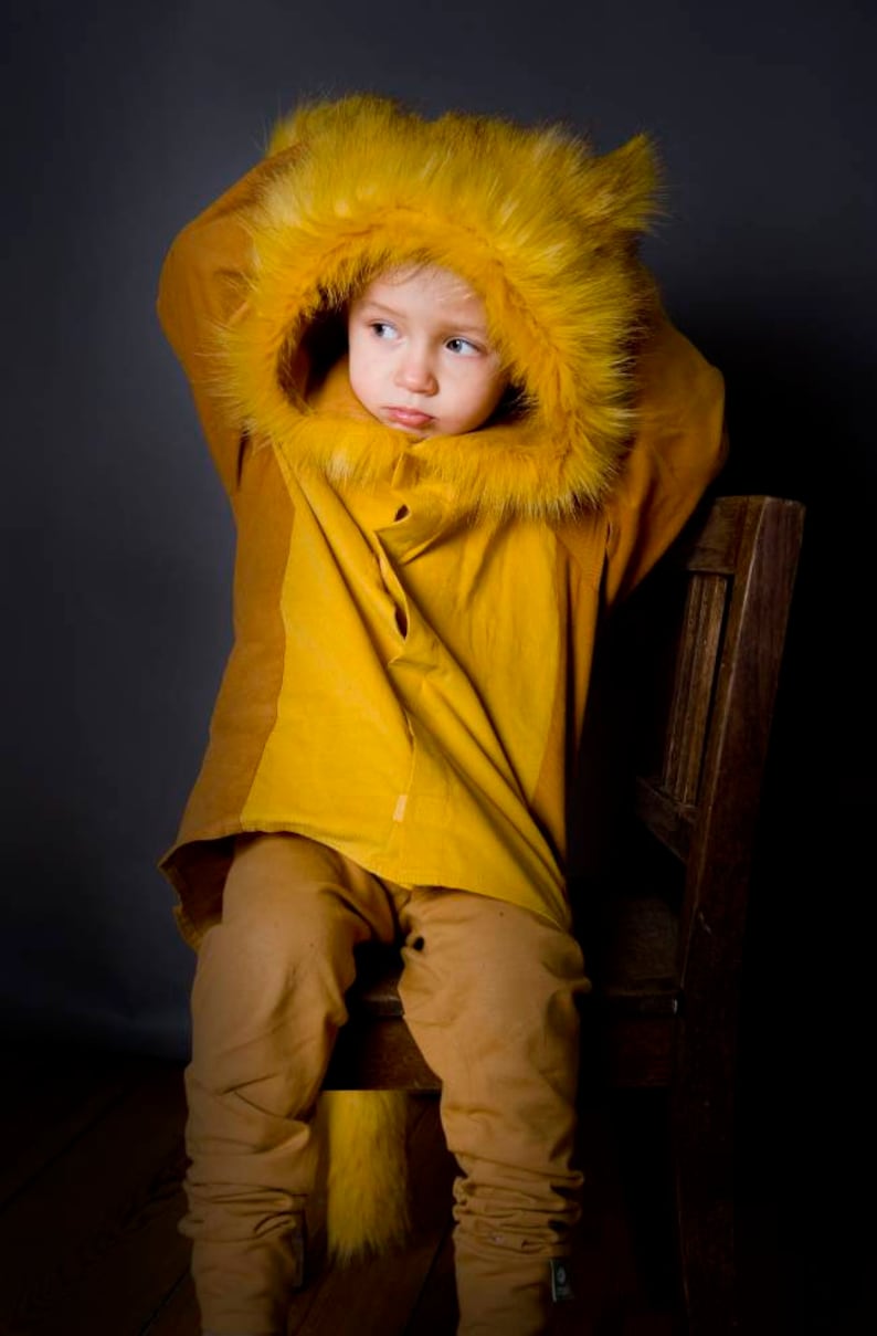 Lion, mane, Kids Costume Lion, Lion Costume, Kids Costume, Carnival Costume, Disguise, Lion Costume, Halloween, Halloween Costume, boys image 6