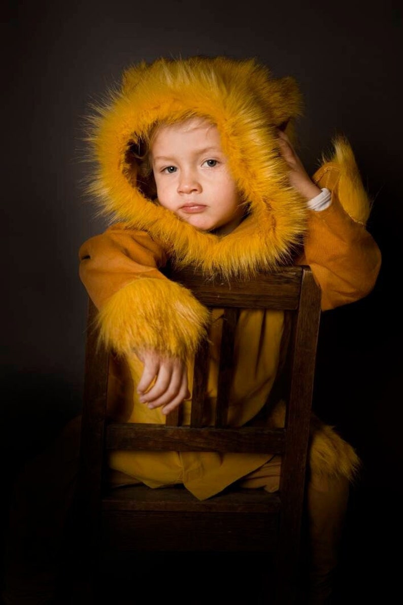 Lion, mane, Kids Costume Lion, Lion Costume, Kids Costume, Carnival Costume, Disguise, Lion Costume, Halloween, Halloween Costume, boys image 1