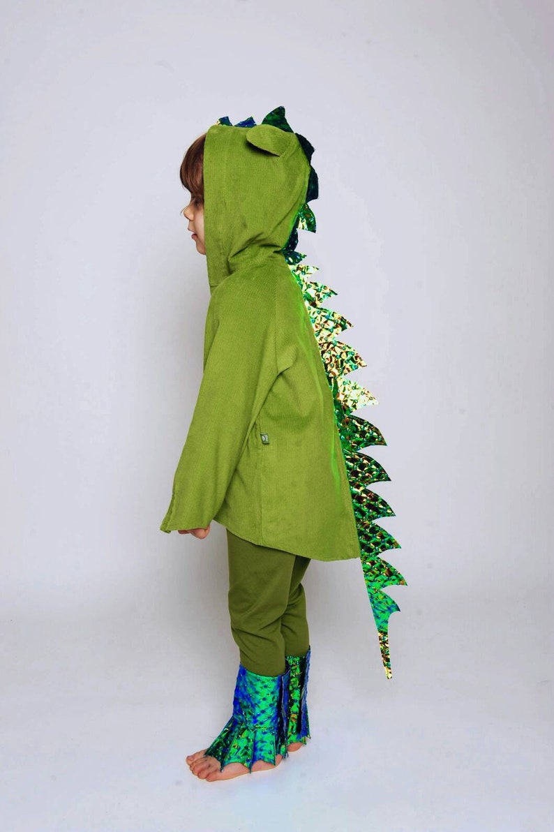 Items to the Dragon costume, dinosaurs, dino costume, crocodile, kids costume, halloween costume, image 4