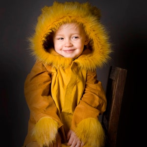 Lion, mane, Kids Costume Lion, Lion Costume, Kids Costume, Carnival Costume, Disguise, Lion Costume, Halloween, Halloween Costume, boys image 3