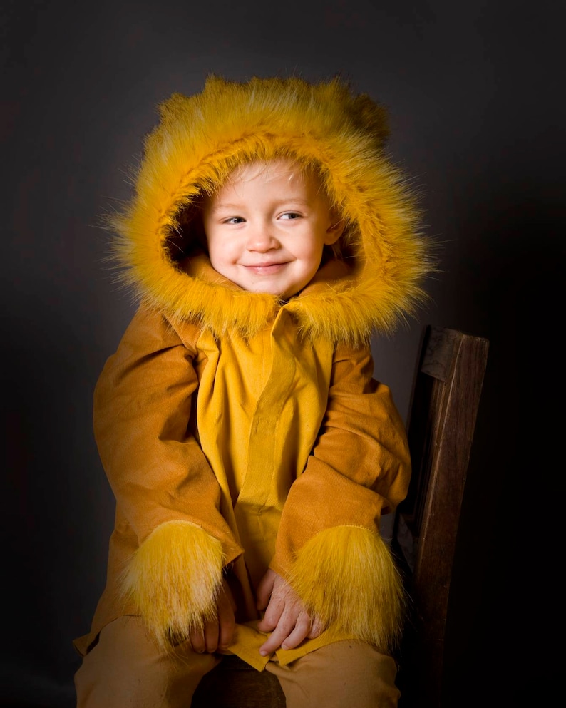 Lion, mane, Kids Costume Lion, Lion Costume, Kids Costume, Carnival Costume, Disguise, Lion Costume, Halloween, Halloween Costume, boys image 3