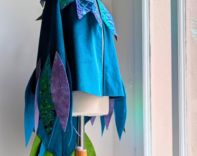 Kolibri / Hummingbird