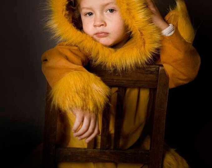 Lion, mane, Kids Costume Lion, Lion Costume, Kids Costume, Carnival Costume, Disguise, Lion Costume, Halloween, Halloween Costume, boys