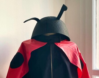 items to the ladybird, ladybug, Ladybug Child Costume, Beetle, Ladybird, halloween