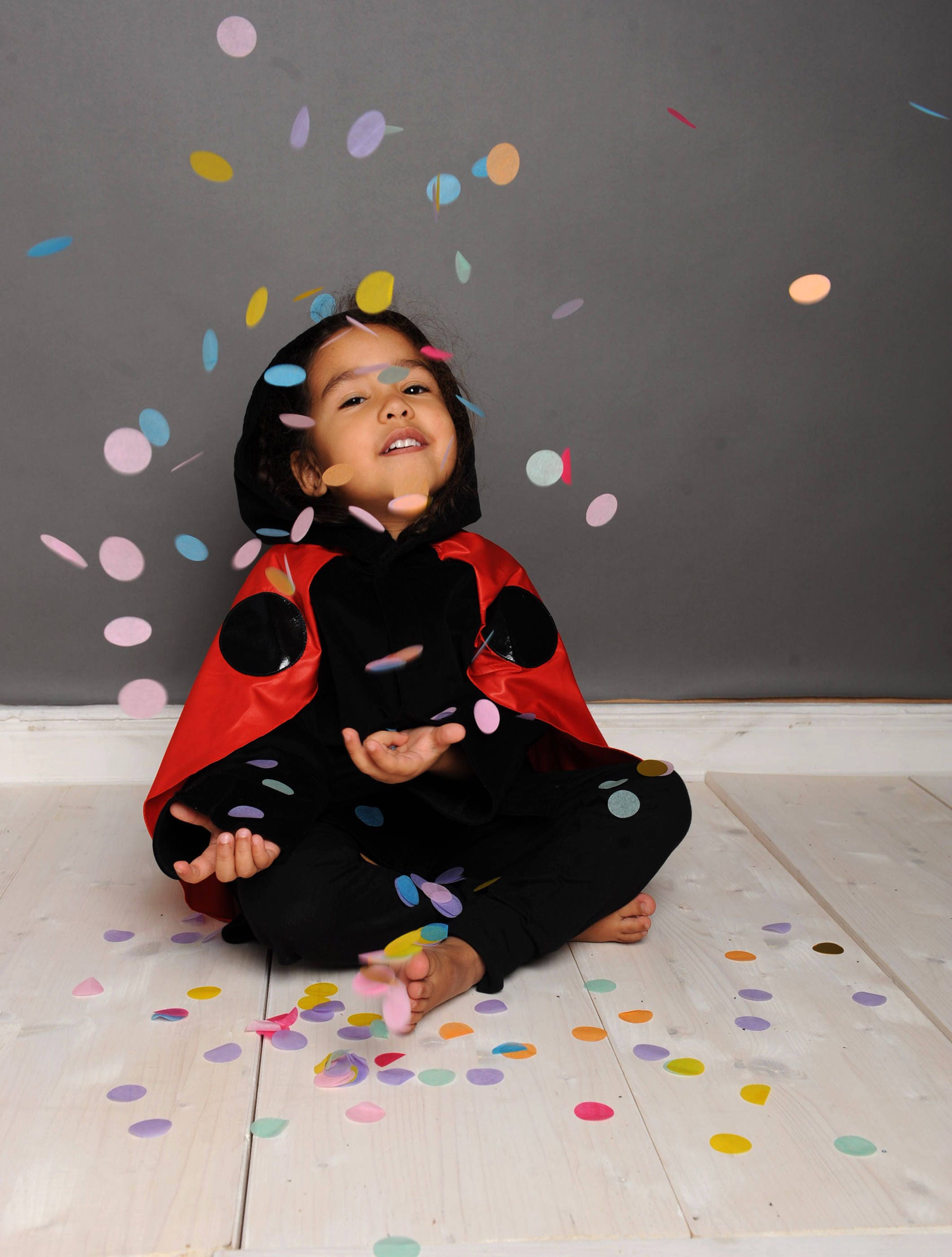 Ladybug Costume  Diy costumes kids, Creative kids halloween