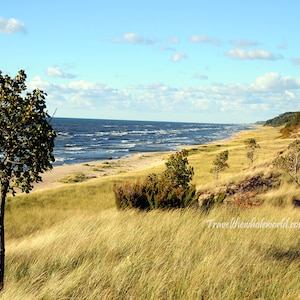 Saugatuck Beach Print, Lake Michigan Art,  Lake House Decor, Michigan Wall Art