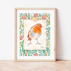 Robin Redbreast British Art Print - Bird Watercolour Illustration