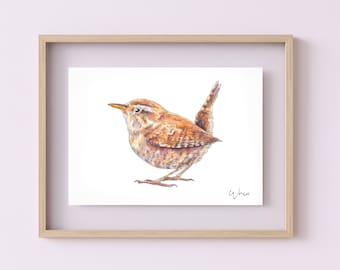 British Bird Wren Watercolour Illustration Art Print