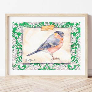 Eurasian Bullfinch Bird Print & William Morris Watercolour Illustration British Art image 1