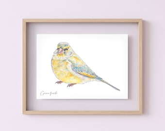 British Bird Greenfinch Watercolour Illustration Art Print