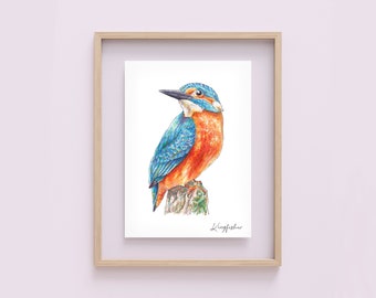 British Bird Kingfisher Watercolour Illustration Art Print