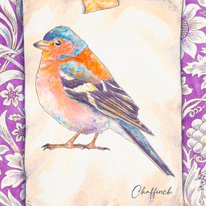 British Bird illustration Art Print. Common Chaffinch Bird. Watercolour paint. Fun William Morris Sunflower background. Natural History drawing.