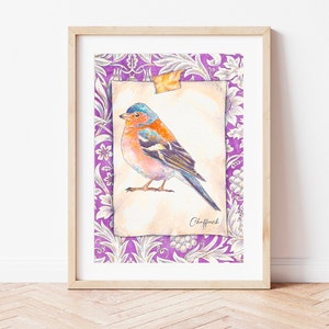 British Bird illustration Art Print. Common Chaffinch Bird. Watercolour paint. Fun William Morris Sunflower background. Natural History drawing.