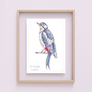 Britischer Vogel Buntspecht Aquarell Illustration Art Print