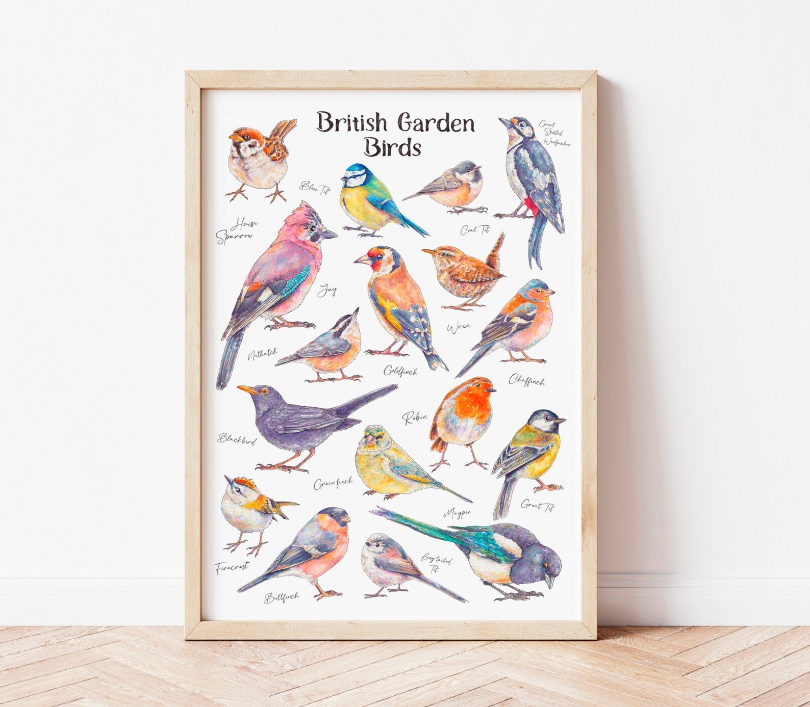 British Garden Bird Illustrated Watercolour Art Print - Bird Species ...